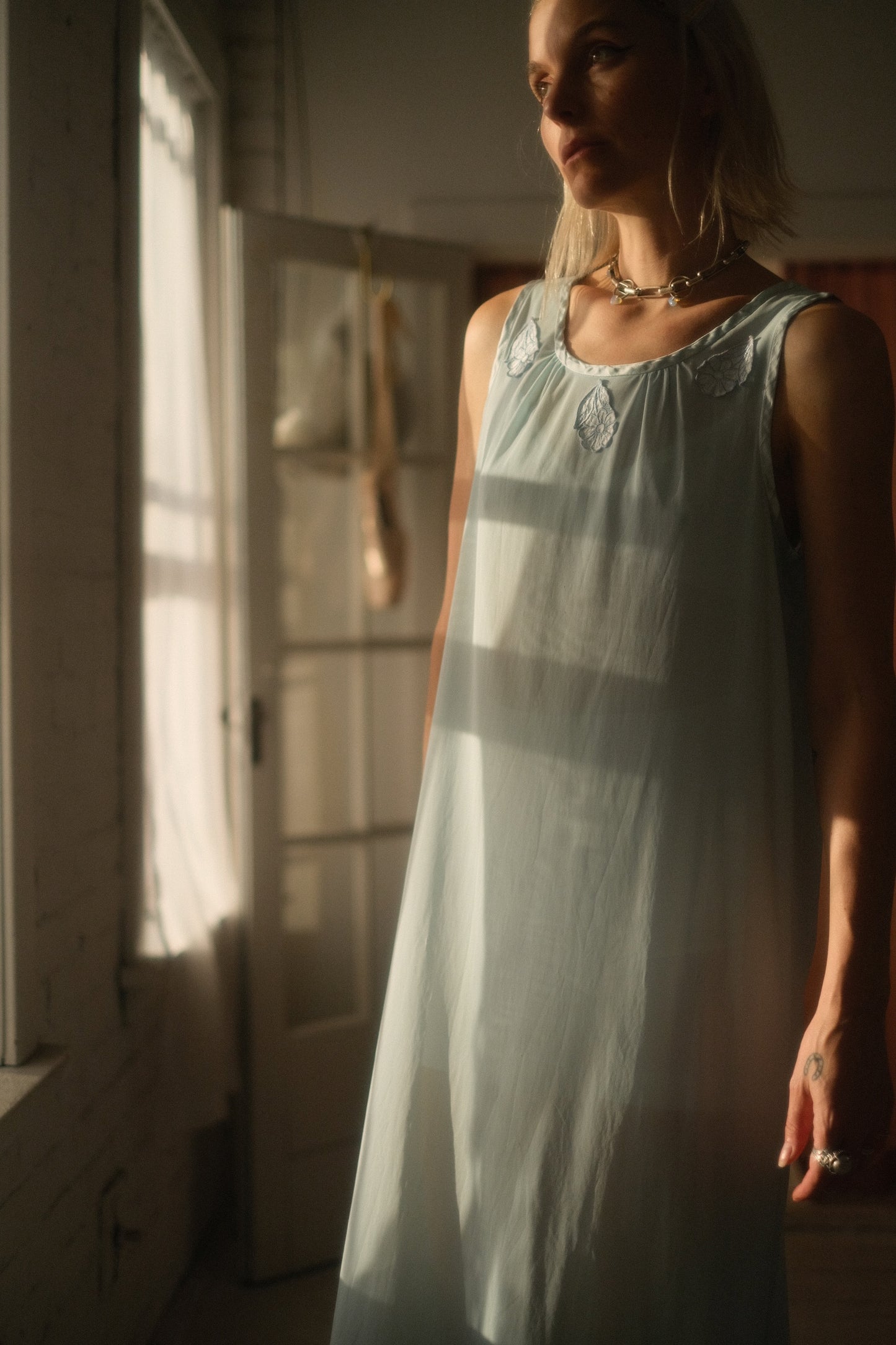 1970s Blue Daisy Lounge Gown