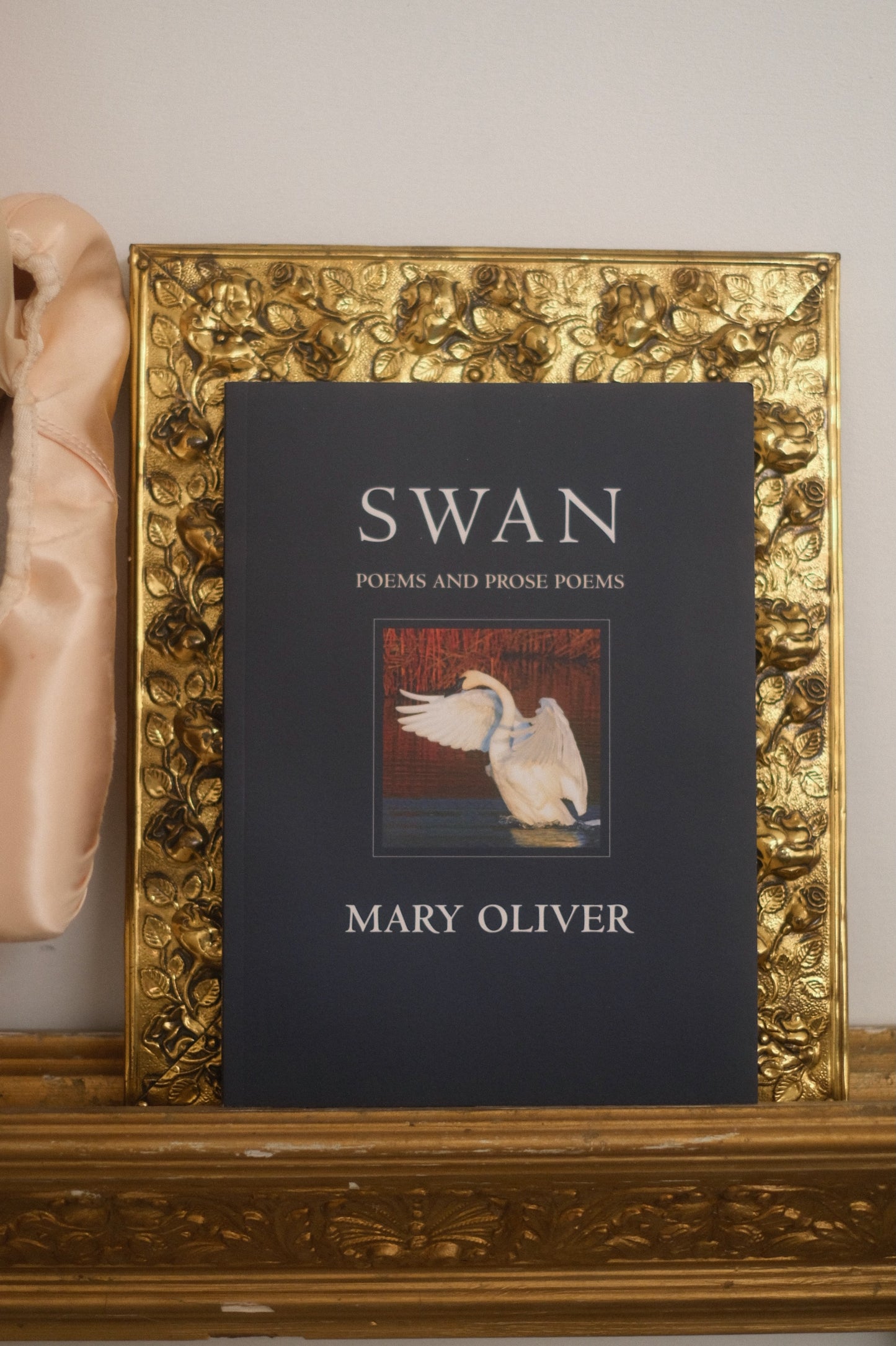 Swan by Mary Oliver