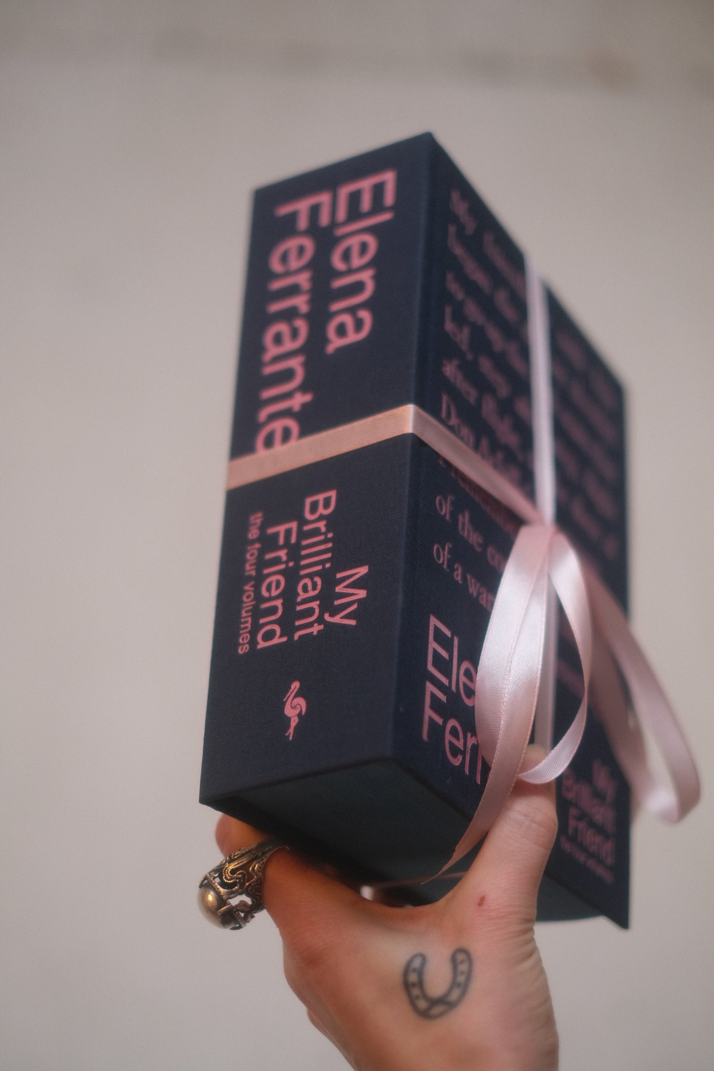 My Brilliant Friend ~ Deluxe Edition ~ The 4 Volumes by Elena Ferrante