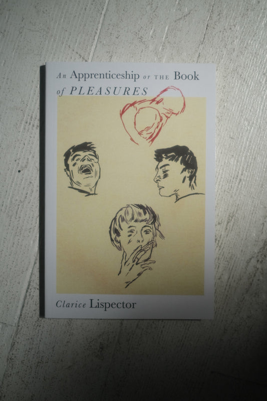 An Apprenticeship or The Book of Pleasures by Clarice Lispector