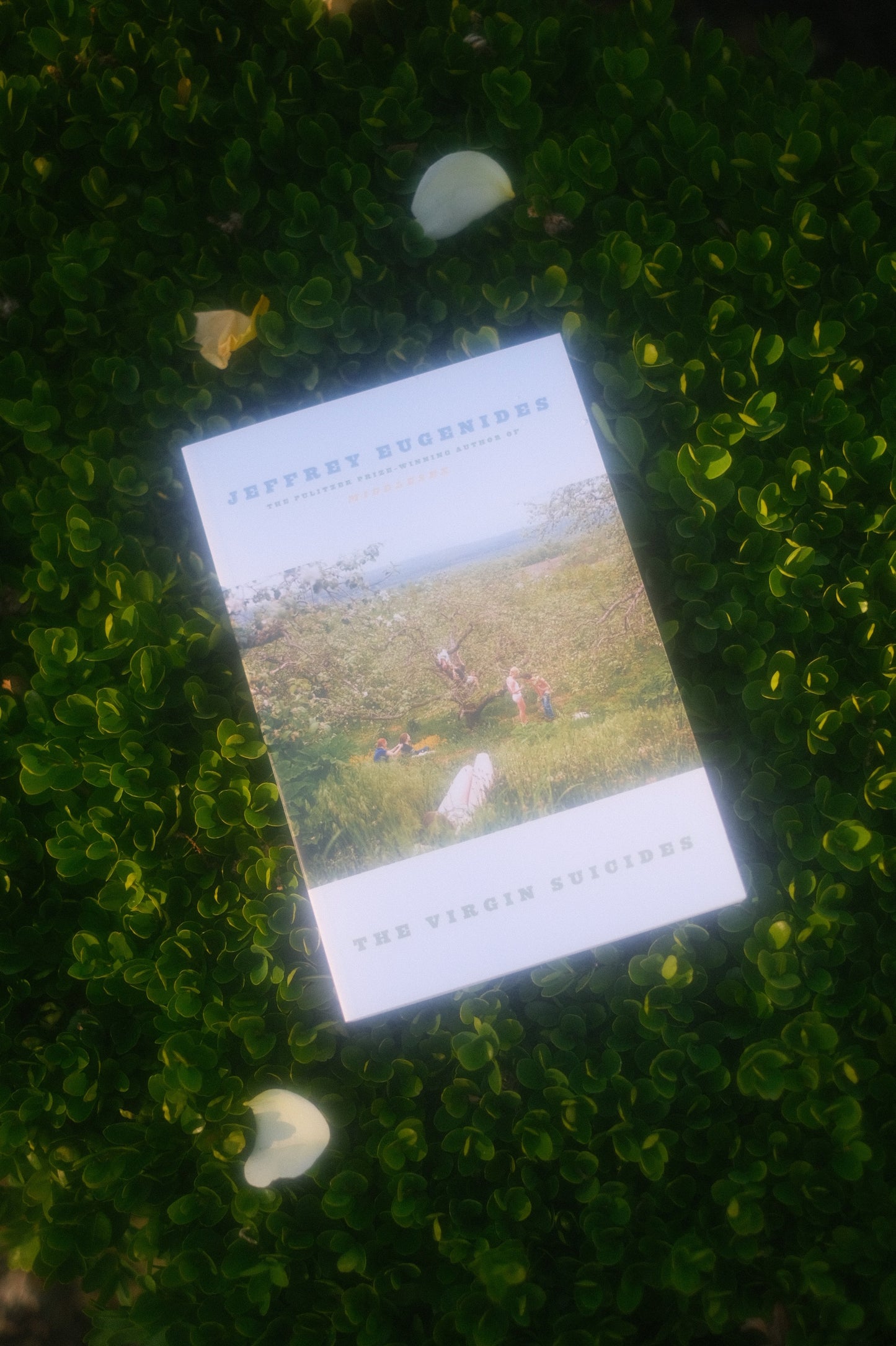 The Virgin Suicides by Jeffrey Eugenides