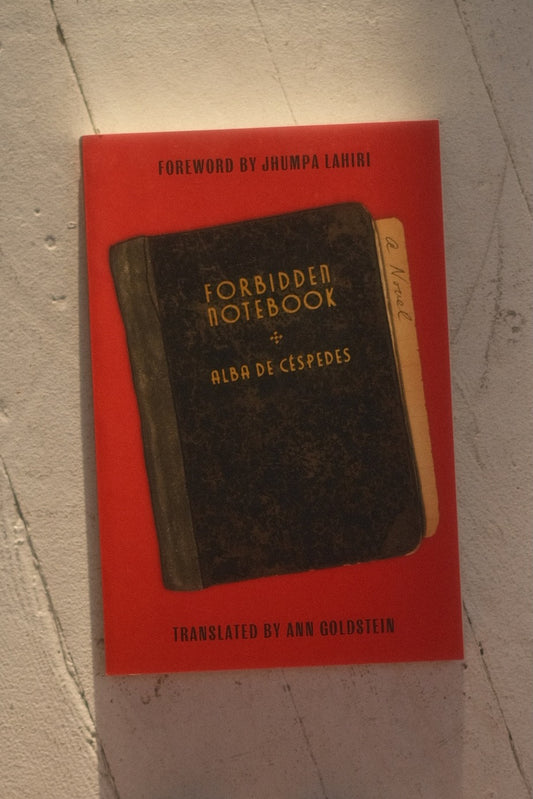 Forbidden Notebook by Alba de Céspedes