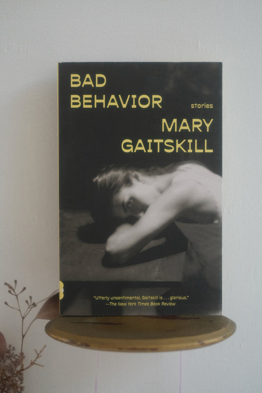 Bad Behavior by Mary Gaitskill