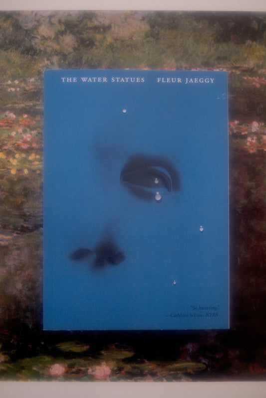 The Water Statues by Fleur Jaeggy