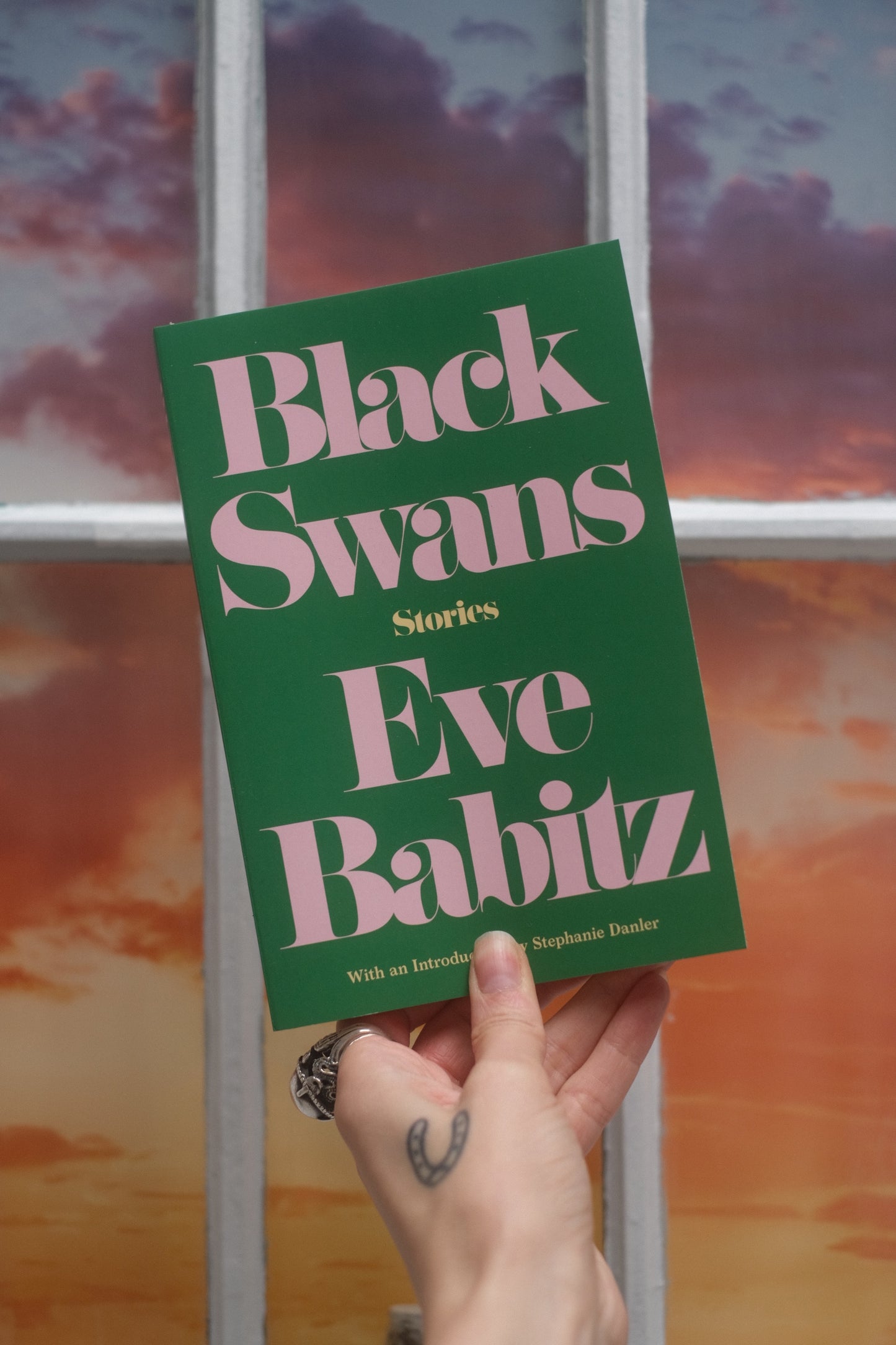 Black Swans by Eve Babitz